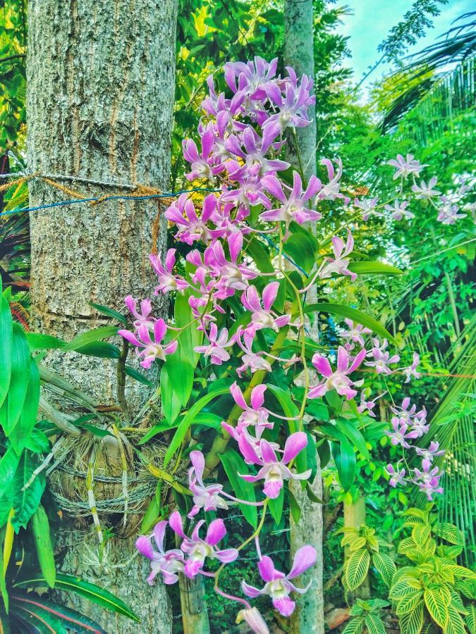 Ameena Homestay Тангалла Экстерьер фото